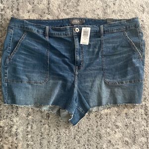 Nwt Torrid size 26 3.5 inch Jean shorts